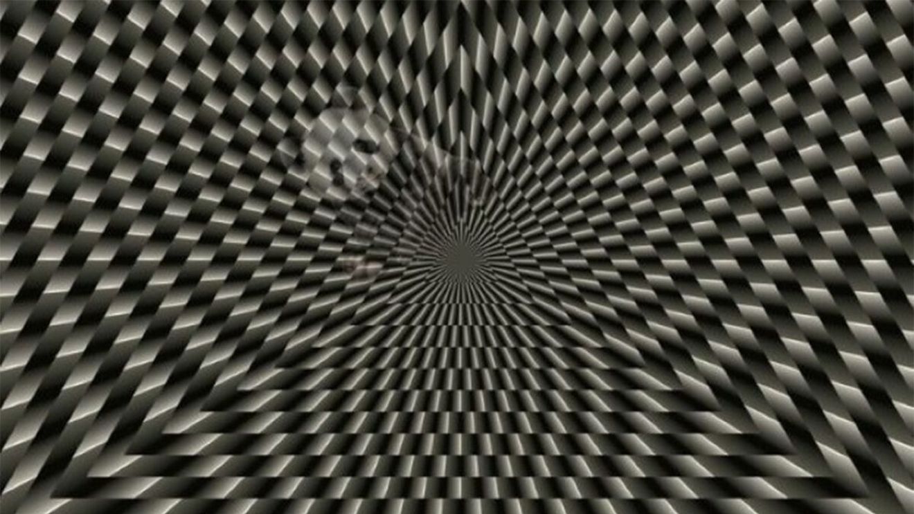 Iluzie optică | Ce animal se ascunde în această imagine? Geniile răspund corect în 19 secunde