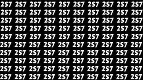 Test de perspicacitate | Găsiți numărul 257 în cel mult 5 secunde!