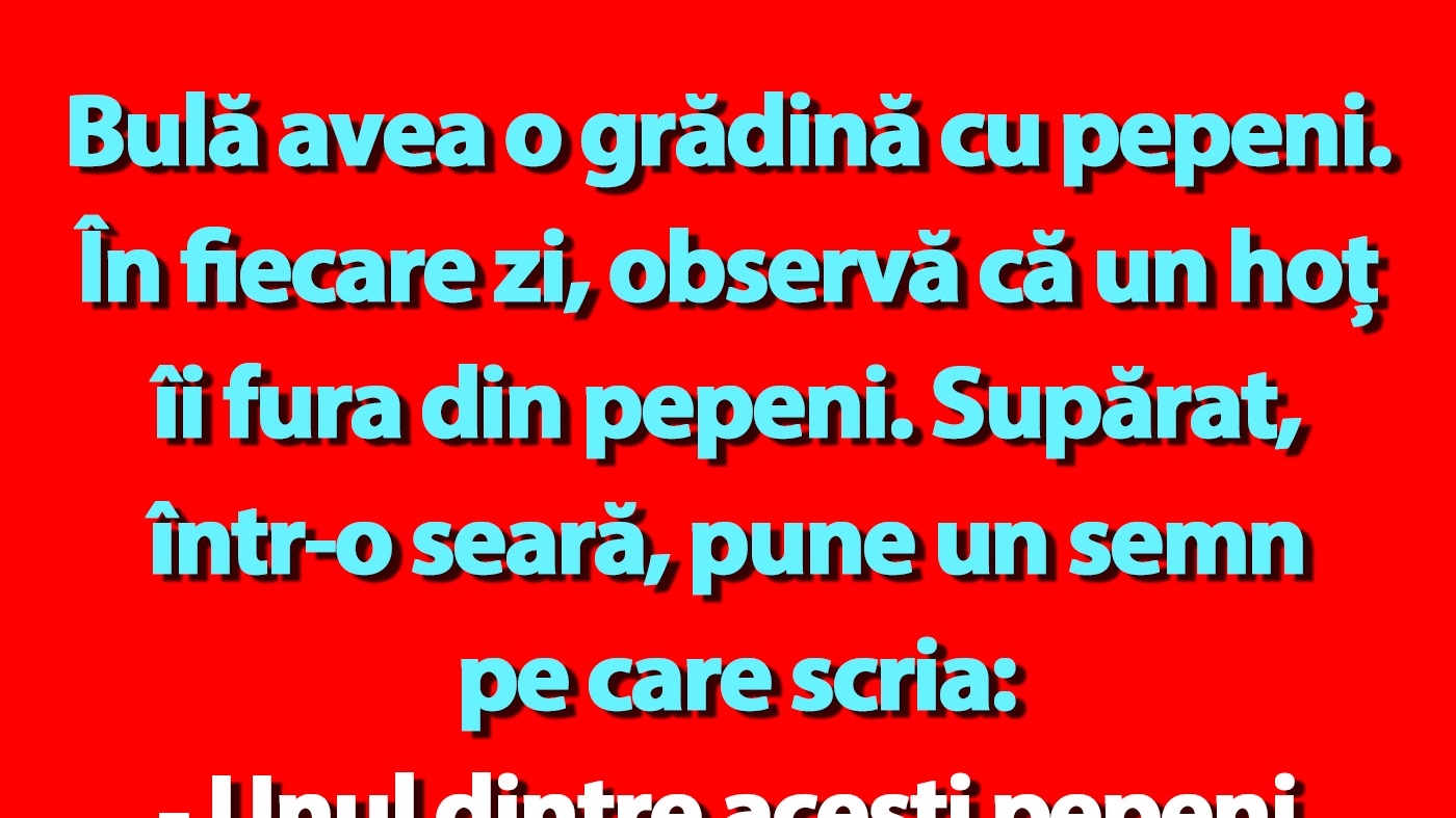 BANC | Bulă avea o grădină cu pepeni