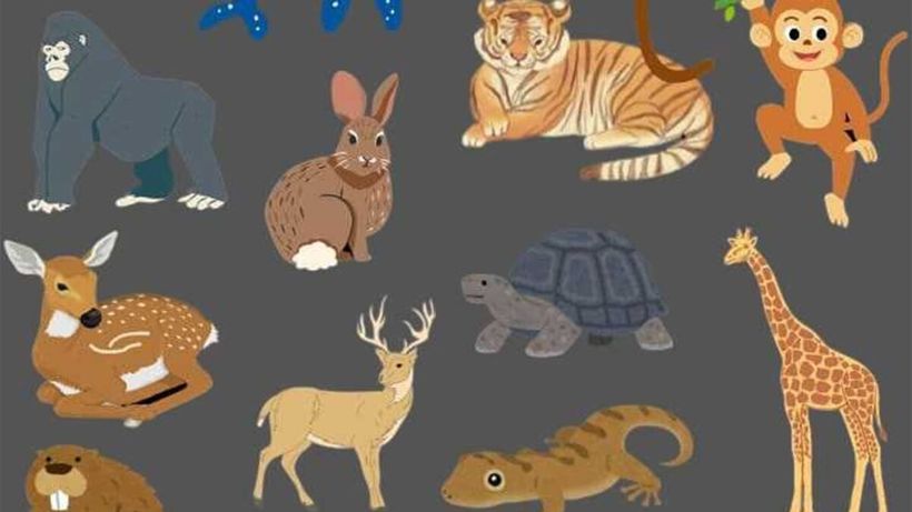 Test de logică exclusiv pentru genii | Care animal este diferit de toate celelalte?