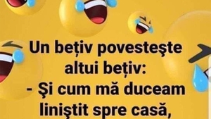 BANC | Ce îi spune un bețiv altui bețiv