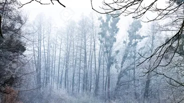 - 6 grade în weekend-ul 21 - 22 septembrie. ANM: vremea în România