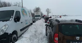 Galerie foto - poza 3