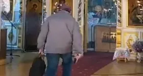 Galerie foto - poza 3