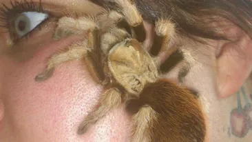 Ce are acesta femeie pe FATA! O tara intreaga a privit cu groaza aceste imagini! Cum a putut face asta. E periculos