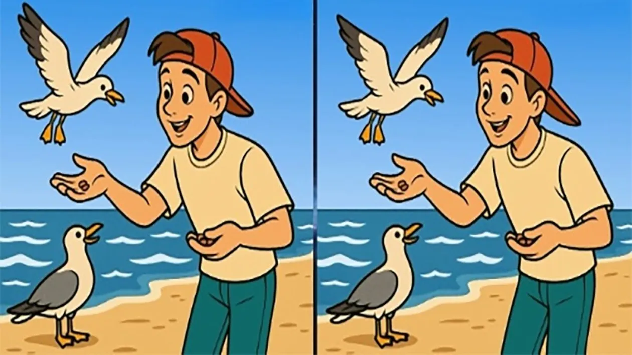 Test de logică | Găsiți 3 diferențe între aceste două fotografii! Recordul este de 29 de secunde