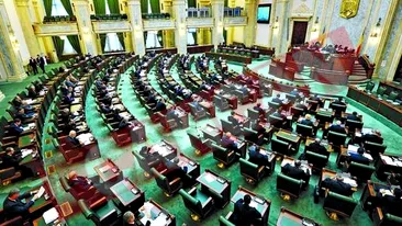 La Senat s-au evaporat 10 tablouri