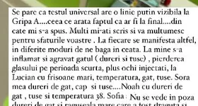 Galerie foto - poza 2