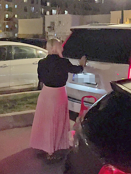Lambada nu a reușit să deschidă portbagajul, alegând să plaseze ulterior cumpărăturile pe bancheta din spate a mașinii (Foto: CANCAN.RO)
