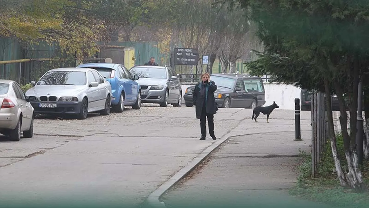 Imaginile durerii. Fiica adoptivă a Stelei Popescu a rămas fără cuvinte! N-a avut puterea nici să…