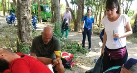 Galerie foto - poza 4