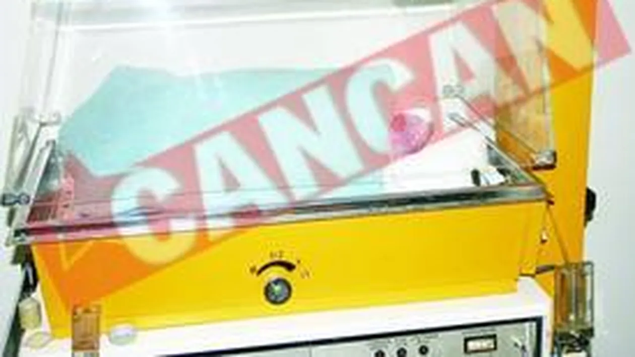 Isi vrea copilul inapoi, dupa ce a incercat sa-l inece in WC