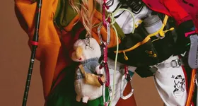 Galerie foto - poza 3