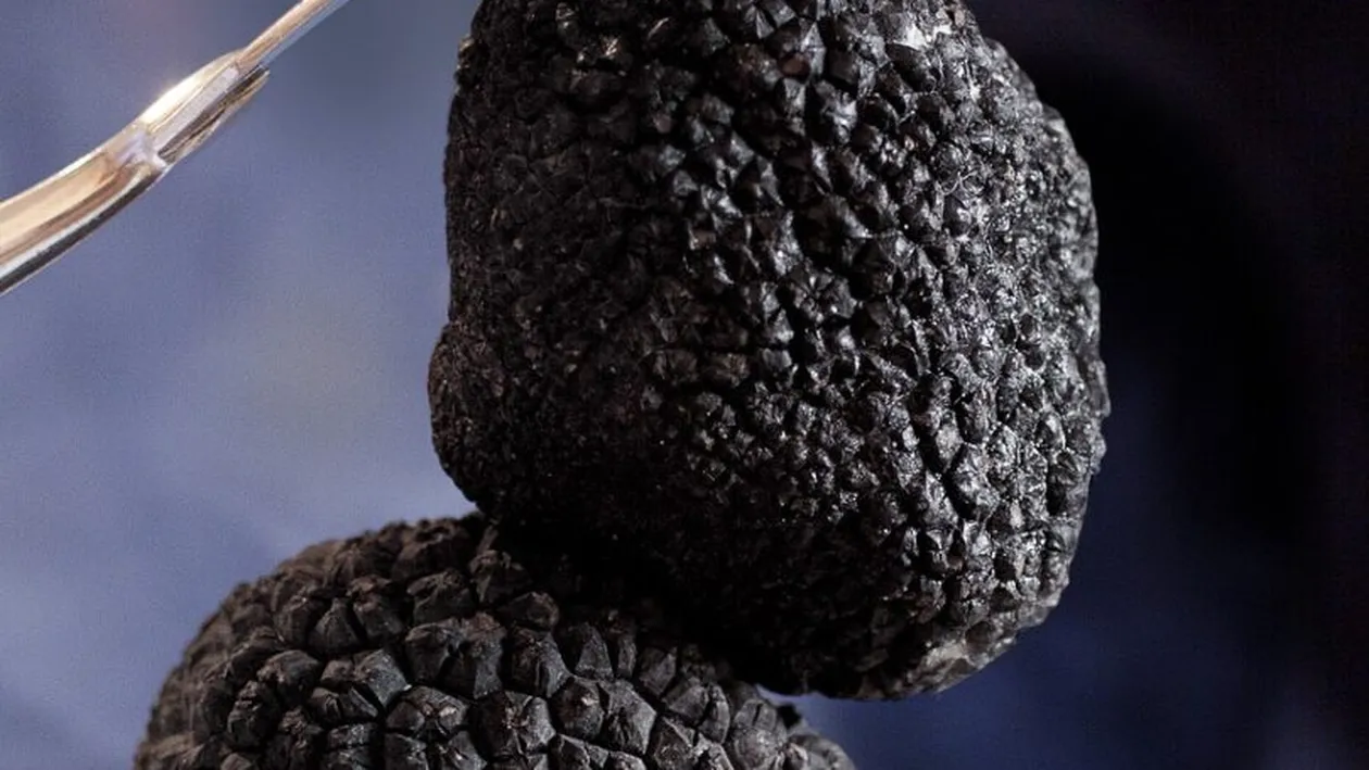 Top 5 cele mai scumpe alimente din lume. Sunt delicatese de lux pentru buzunarul românilor