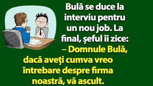 BANC | Bulă se duce la interviu pentru un nou job