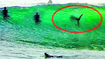 Au facut surf langa un rechin urias