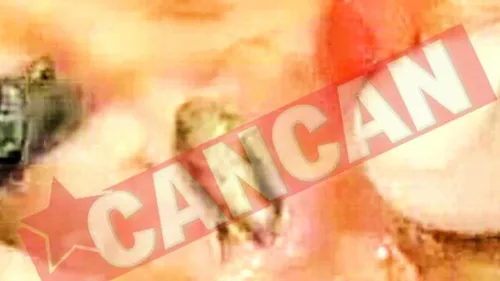 A gasit un gandac de bucatarie In pizza