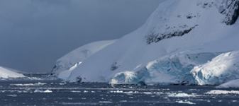 O muscă din Arctica a ajuns în Antarctica. Oamenii de ştiinţă avertizează: poate provoca „o destabilizare ecosistemică a mediului”