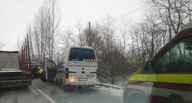 Galerie foto - poza 3