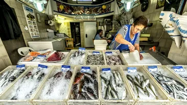 Pericolul descoperit în macroul congelat din România. Specialiștii au retras produsele de pe piață