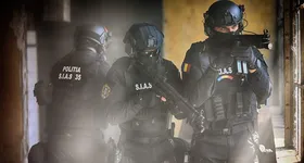 Galerie foto - poza 2