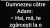 Bancul sfârșitului de săptămână | Dumnezeu, Adam și coasta