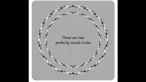 Iluzia optică ce îţi testează IQ-ul. Câte cercuri vezi în această imagine?