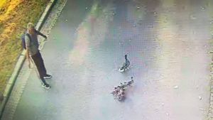 Bărbat filmat când fura o rață dintr-un parc craiovean. Ce le-a spus polițiștilor