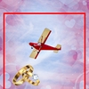 Zborul romantic s-a transformat într-o „problemă la motor”! Totul făcea parte din planul nebunesc al unui pilot îndrăgostit ceva cu inele și un avion din ăsta de mici dimensiuni