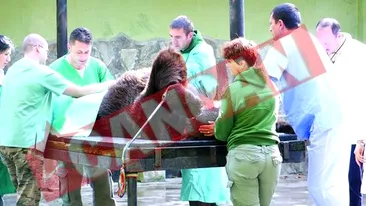 Operatii in premiera la gradina zoologica