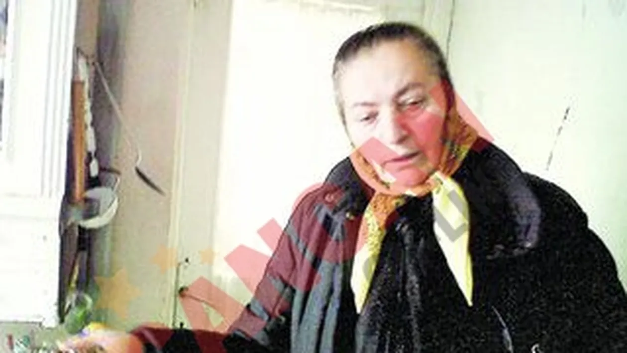 Doi hoti si-au facut culcus in casa ei