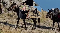 Gigi Becali a făcut show pe Muntele Athos! A dat 1.000 de euro pentru calul cu care a urcat