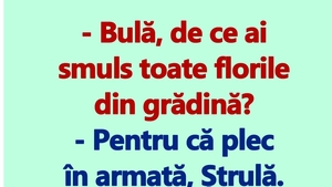 BANC | "Bulă, de ce ai smuls toate florile din grădină?"