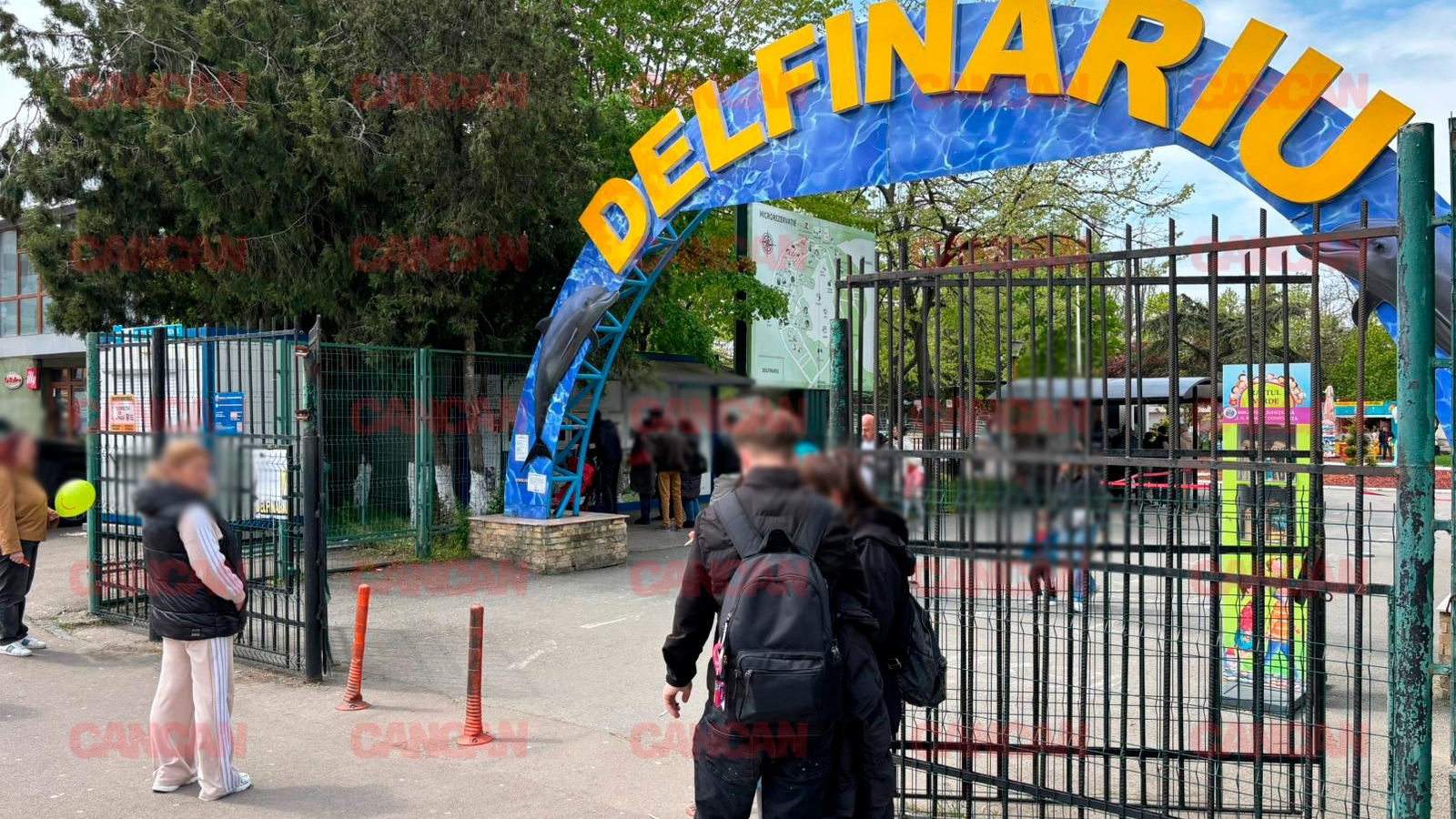 Cât costă un bilet la Delfinariu din Mamaia? Un adult trebuie să plătească aproape 75 de lei pentru a lua parte la o demonstrație