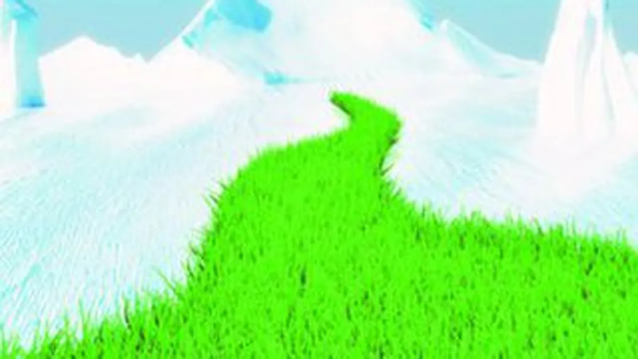 Antarctica, invadata de plante noi