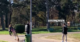 Galerie foto - poza 3