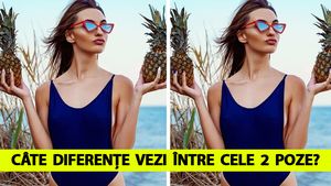 Tu câte diferențe vezi între cele două imagini? Testul de vedere care te va enerva la culme