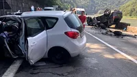 Reacţia emoţionantă a unui câine care își vede stăpânul din Rusia, la o lună de la un accident suferit pe Valea Oltului