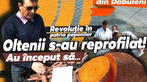 Revoluție în patria pepenilor. Oltenii s-au reprofilat! Au început să…