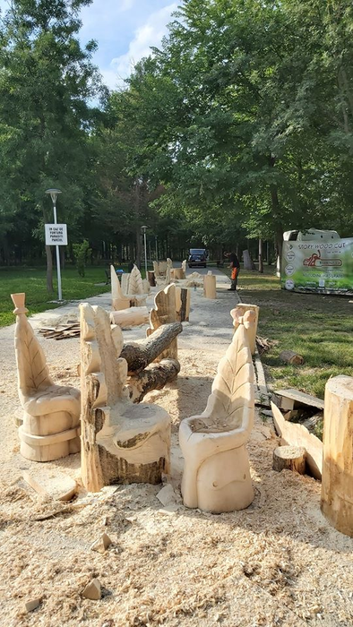 Operele realizate cu drujba în parcul din Craiova prind contur