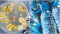 Apă plată cu bacterii! ANPC a descoperit nereguli şi a retras de pe piaţă loturi de apă îmbuteliată