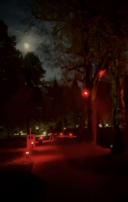 Castelul Bran, atracția principală de Halloween! Cât costă un bilet și ce experiențe sunt pregătite