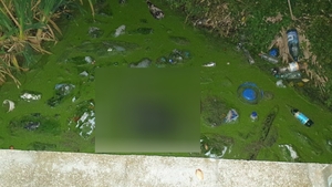 Bărbat găsit mort într-o piscină dezafectată în Constanța! În ce stare era cadavrul
