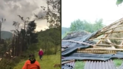 O furtună violentă a pus la pământ o pădure din Maramureș: ”Imagini de groază!” VIDEO