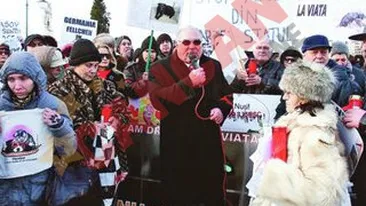 Am salvat 14 catei de pe strada!