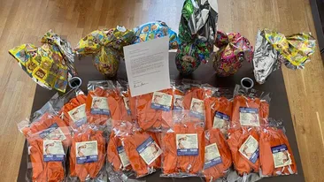 Reacția emoționantă a Gabrielei Firea după gestul Ramonei Bădescu, actrița stabilită în Italia de 30 de ani: ”Îi mulțumesc încă o dată!”