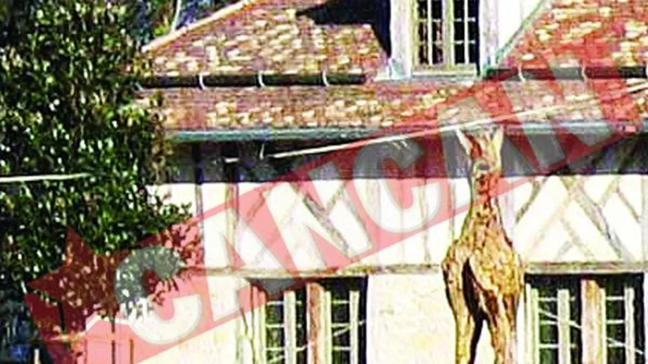 Schumi Isi pazeste palatul cu cai de lemn