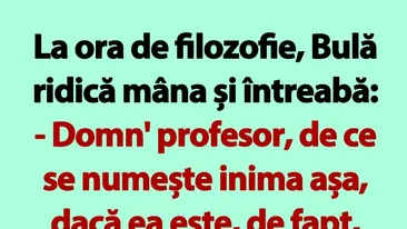 BANC | La ora de filozofie, Bulă ridică mâna și întreabă
