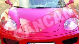 Si-au scos bolizii la vanzare