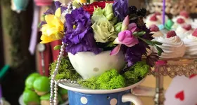 Galerie foto - poza 2